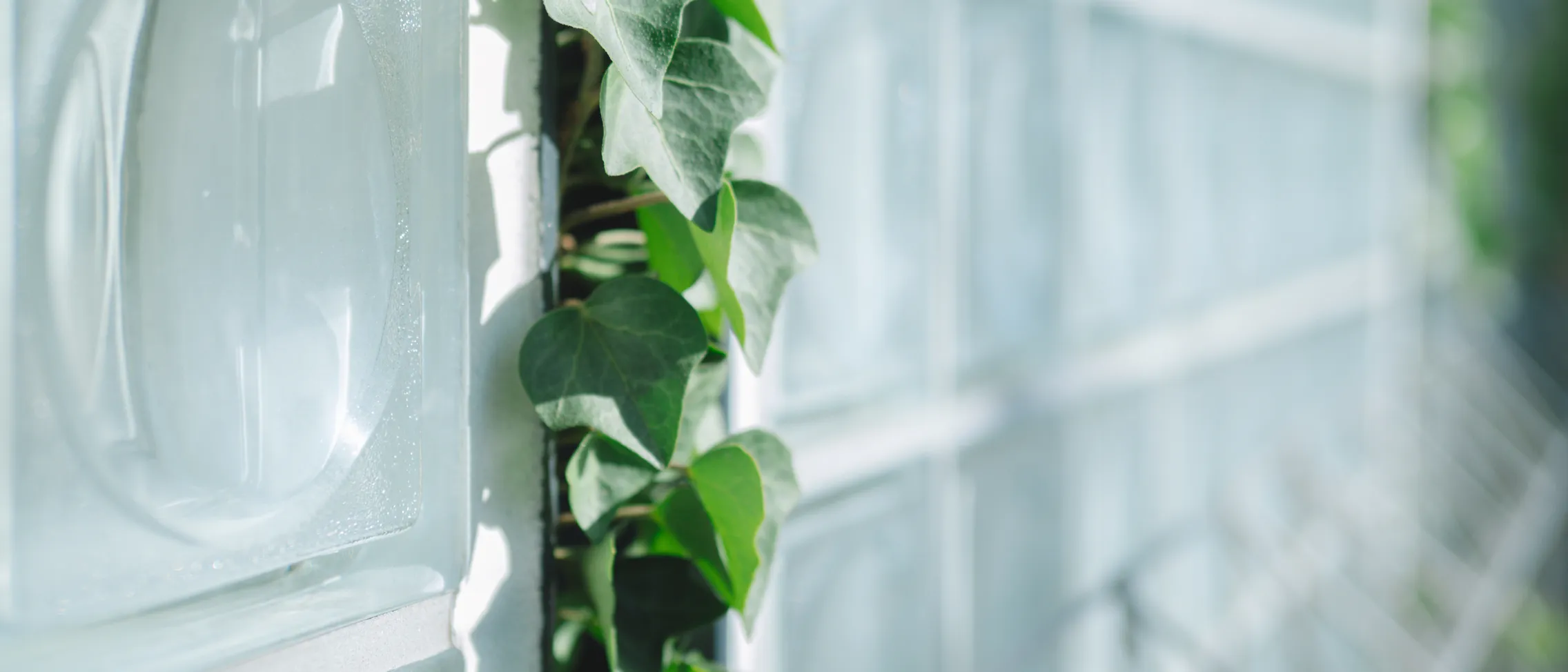 個人情報保護方針